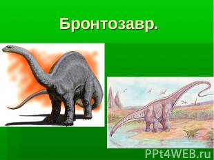 Бронтозавр.