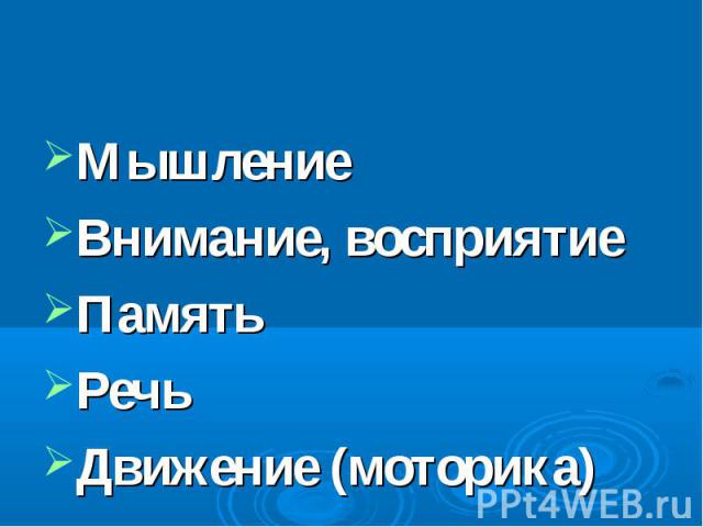 Мышление Внимание, восприятие Память Речь Движение (моторика)