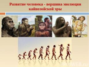 Развитие человека - вершина эволюции кайнозойской эры
