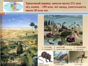 Триасовый период: начало около 251 млн лет, конец - 199 млн. лет назад, длительн