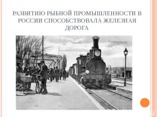 Развитию рыбной промышленности в России способствовала железная дорога