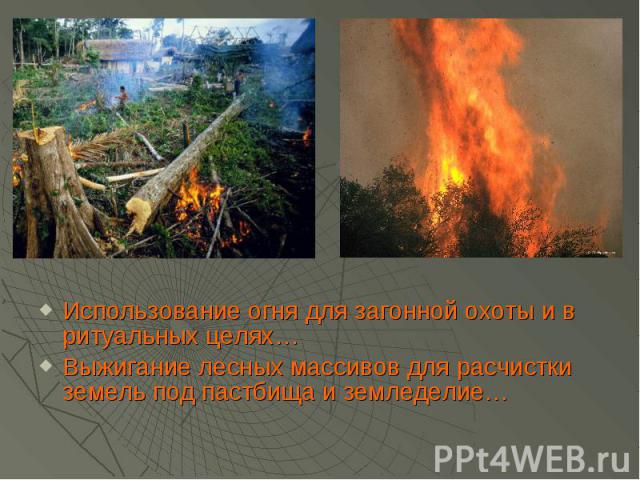 Использование огня для загонной охоты и в ритуальных целях… Выжигание лесных массивов для расчистки земель под пастбища и земледелие…