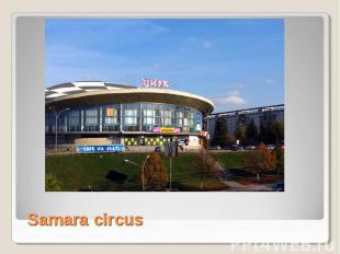 Samara circus