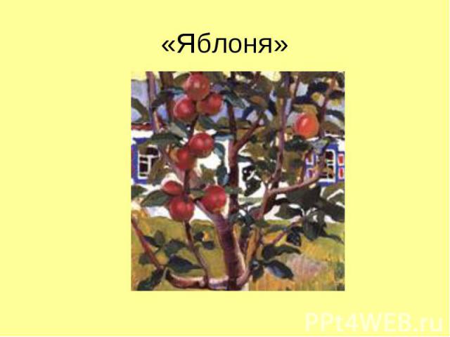 «Яблоня»