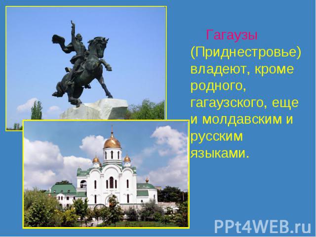 Гагаузы (Приднестровье) владеют, кроме родного, гагаузского, еще и молдавским и русским языками.