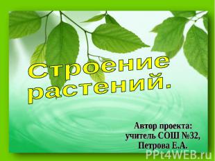 Строение растений Автор проекта: учитель СОШ №32, Петрова Е.А.