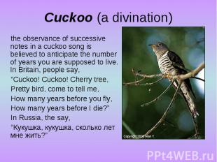 Cuckoo (a divination)the observance of successive notes in a cuckoo song is beli