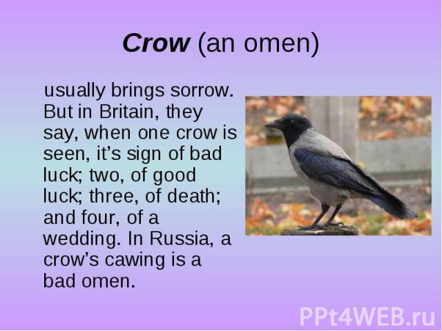 Crow (an omen)usually brings sorrow. But in Britain, they say, when one crow is seen, it’s sign of bad luck; two, of good luck; three, of death; and four, of a wedding. In Russia, a crow’s cawing is a bad omen.