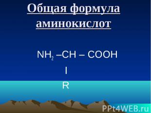 Общая формула аминокислот NH2 –CH – COOH l R