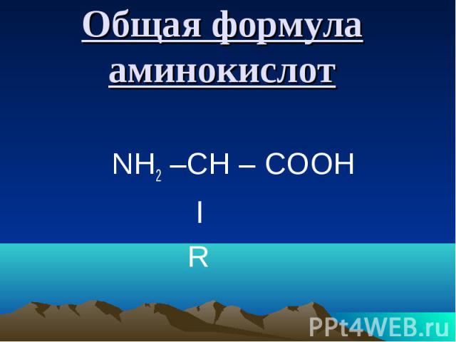 Общая формула аминокислот NH2 –CH – COOH l R