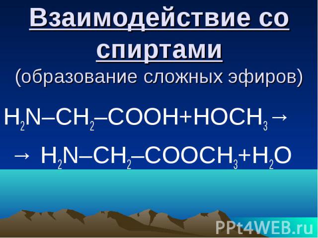 Взаимодействие со спиртами (образование сложных эфиров) H2N–CH2–COOH+НОСН3→ → H2N–CH2–COOСH3+Н2О