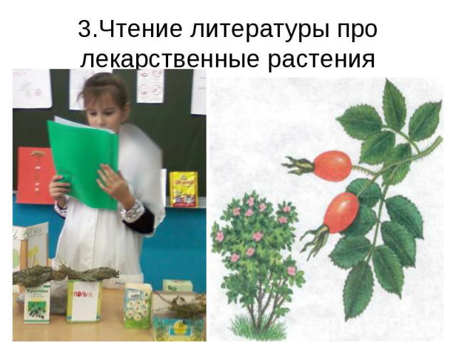 3.Чтение литературы про лекарственные растения