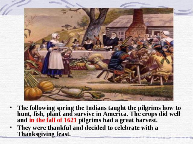 The following spring the Indians taught the pilgrims how to hunt, fish, plant and survive in America. The crops did well and in the fall of 1621 pilgrims had a great harvest. They were thankful and decided to celebrate with a Thanksgiving feast.