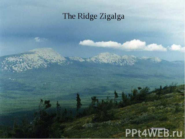The Ridge Zigalga