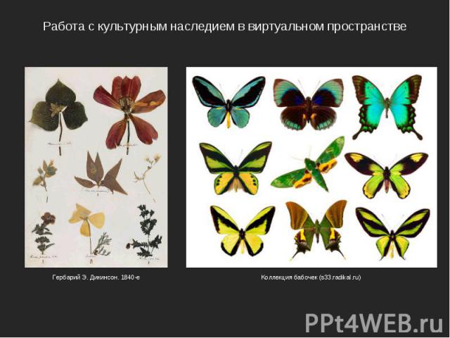 Работа с культурным наследием в виртуальном пространстве Гербарий Э. Дикинсон. 1840-е Коллекция бабочек (s33.radikal.ru)