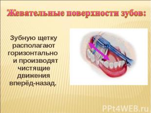Жевательные поверхности зубов: Зубную щетку располагают горизонтально и производ