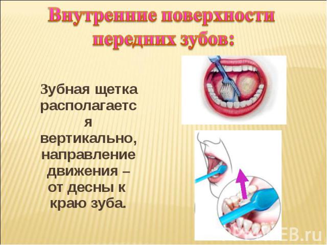 Внутренние поверхности передних зубов: Зубная щетка располагается вертикально, направление движения – от десны к краю зуба.