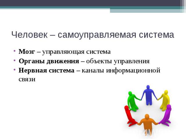 Человек – самоуправляемая система Мозг – управляющая система Органы движения – объекты управления Нервная система – каналы информационной связи