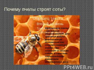 Почему пчелы строят соты?