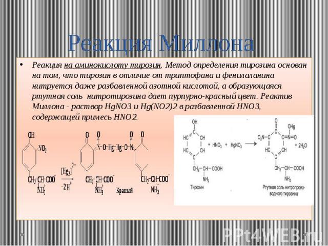 Реакция Миллона Реакция на аминокислоту тирозин. Метод определения тирозина основан на том, что тирозин в отличие от триптофана и фенилаланина нитруется даже разбавленной азотной кислотой, а образующаяся ртутная соль нитротирозина дает пурпурно-крас…
