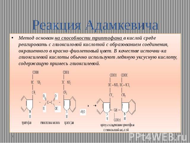 Реакция Адамкевича Метод основан на способности триптофана в кислой среде реагировать с глиоксиловой кислотой с образованием соединения, окрашенного в красно-фиолетовый цвет. В качестве источни­ка глиоксилевой кислоты обычно используют ледяную у…