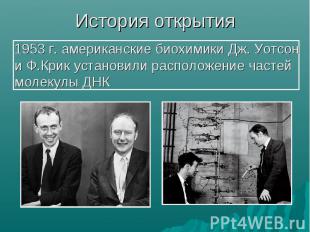 История открытия 1953 г. американские биохимики Дж. Уотсон и Ф.Крик установили р