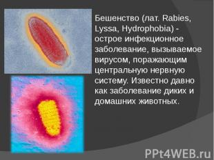 Бешенство (лат. Rabies, Lyssa, Hydrophobia) - острое инфекционное заболевание, в