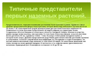 Типичные представители первых наземных растений. Предположительно, первыми назем