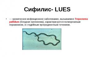 — хроническое инфекционное заболевание, вызываемое Treponema pallidum (бледная т