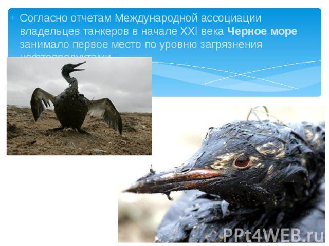 Согласно отчетам Международной ассоциации владельцев танкеров в начале XXI века Черное море занимало первое место по уровню загрязнения нефтепродуктами. Согласно отчетам Международной ассоциации владельцев танкеров в начале XXI века Черное море зани…