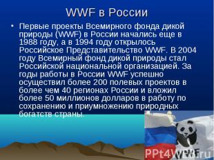 Первые проекты Всемирного фонда дикой природы (WWF) в России начались еще в 1988