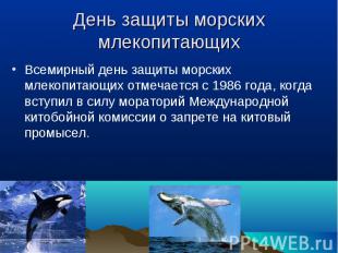 Всемирный день защиты морских млекопитающих&nbsp;отмечается с 1986 года, когда в