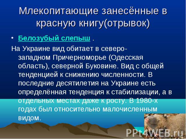 Белозубый слепыш . Белозубый слепыш . На Украине вид обитает в северо-западном Причерноморье (Одесская область), северной Буковине. Вид с общей тенденцией к снижению численности. В последние десятилетия на Украине есть определённая те…
