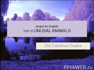project for English TOP 10 UNUSAL ANIMALS Did Danilova Dasha