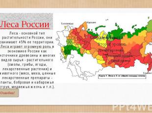 Леса России Леса - основной тип растительности России, они занимают 45% ее терри