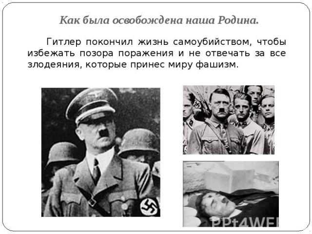 Как была освобождена наша Родина. Гитлер покончил жизнь самоубийством, чтобы избежать позора поражения и не отвечать за все злодеяния, которые принес миру фашизм.