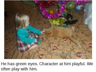 He has green eyes. Character at him playful. We often play with him. He has gree