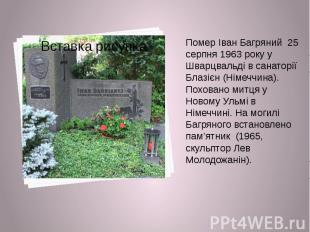 Помер Іван Багряний&nbsp; 25 серпня 1963 року у&nbsp; Шварцвальді в санаторії Бл