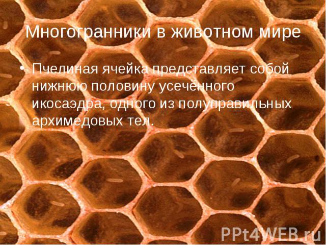 Пчелиная ячейка представляет собой нижнюю половину усечённого икосаэдра, одного из полуправильных архимедовых тел. Пчелиная ячейка представляет собой нижнюю половину усечённого икосаэдра, одного из полуправильных архимедовых тел.