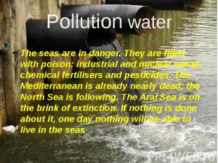 Pollution water The seas are in danger. They are filled with poison: industrial
