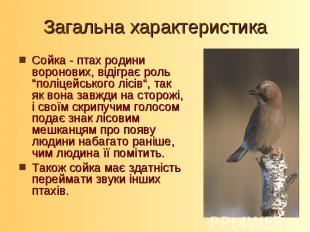 Загальна характеристикаСойка - птах родини воронових, відіграє роль "поліцейсько