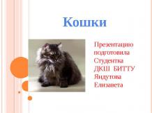 День кошек в России