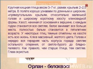 Крупная хищная птица весом 3–7 кг, размах крыльев 2–2,5 метра. В полете хорошо у