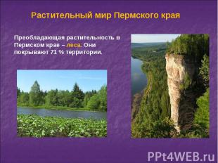 Растительный мир Пермского края Преобладающая растительность в Пермском крае – л