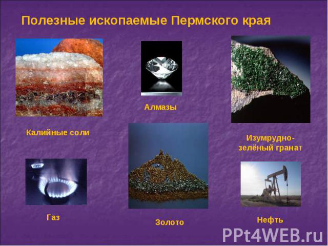 Полезные ископаемые Пермского края