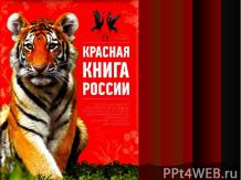 Международная книга России
