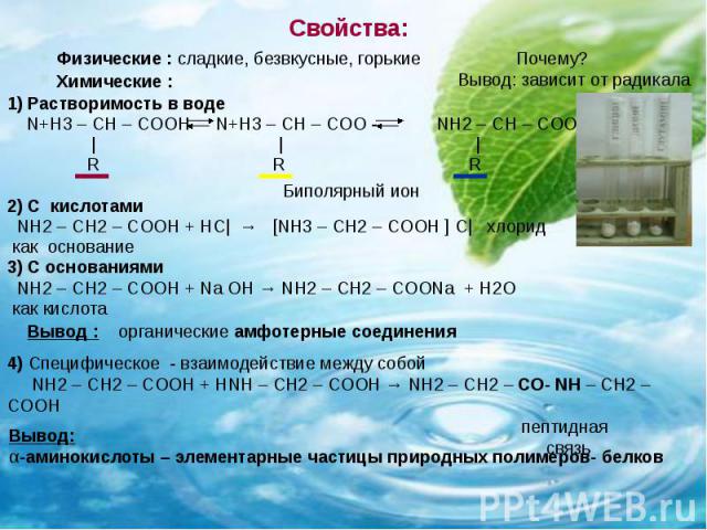 Свойства: 1) Растворимость в воде N+H3 – CH – COOH N+H3 – CH – COO - NH2 – CH – COO- | | | R R R 2) С кислотами NH2 – CH2 – COOH + НС| → [NH3 – CH2 – COOH ] С| хлорид как основание 3) С основаниями NH2 – CH2 – COOH + Na OH → NH2 – CH2 – COONa + H2O …