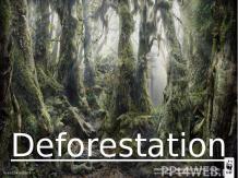 Deforestation (вырубка)