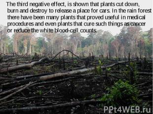 The third negative effect, is shown that plants cut down, burn and destroy to re