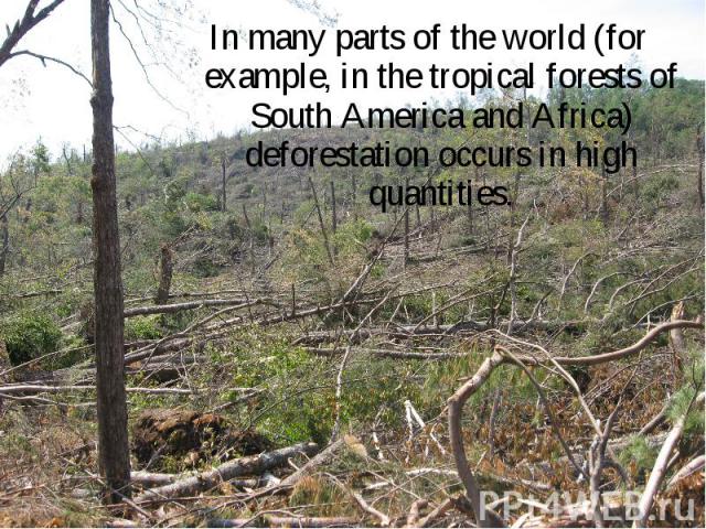 In many parts of the world (for example, in the tropical forests of South America and Africa) deforestation occurs in high quantities.In many parts of the world (for example, in the tropical forests of South America and Africa) deforestation occurs …